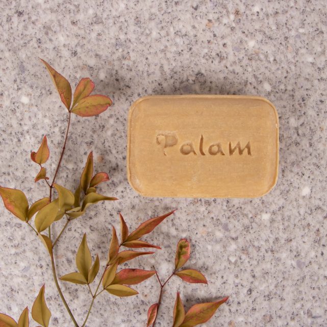 Bar of neem fairtrade soap with 'Palam' branding on a textured surface with leaves.