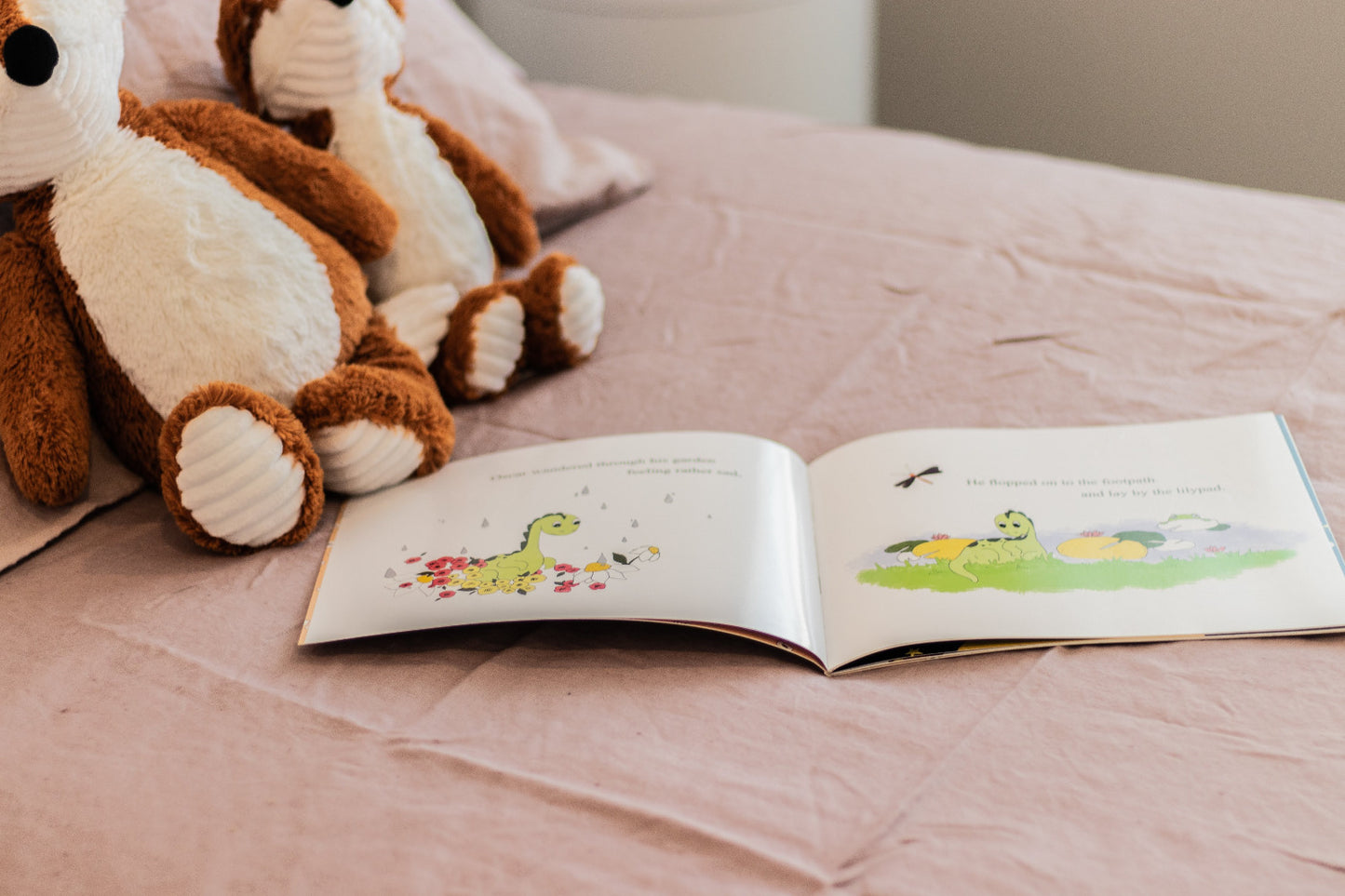 Oscar & Ray by Amber Gaskell - Illustrated by Bec Brown
