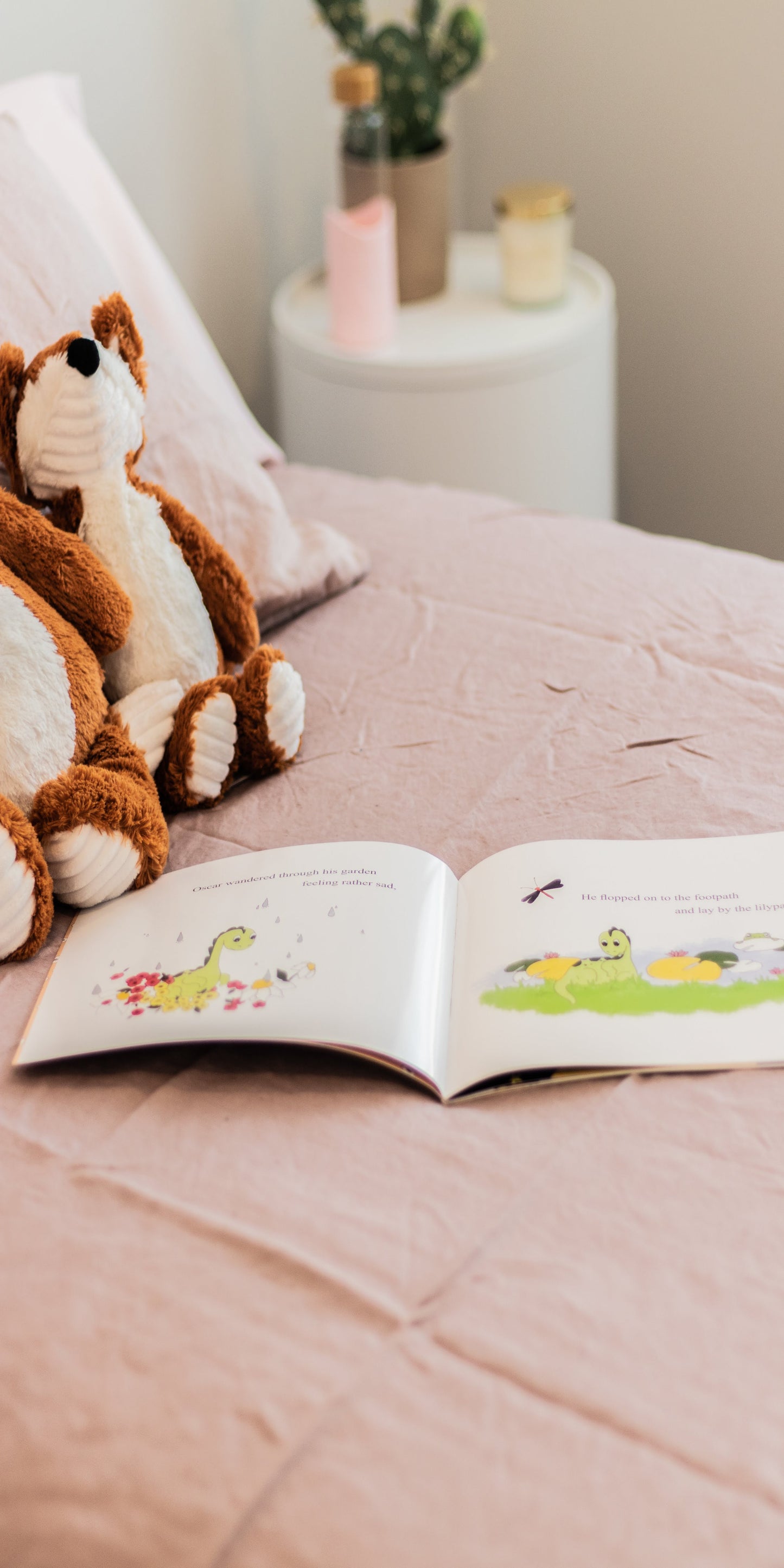 Oscar & Ray by Amber Gaskell - Illustrated by Bec Brown