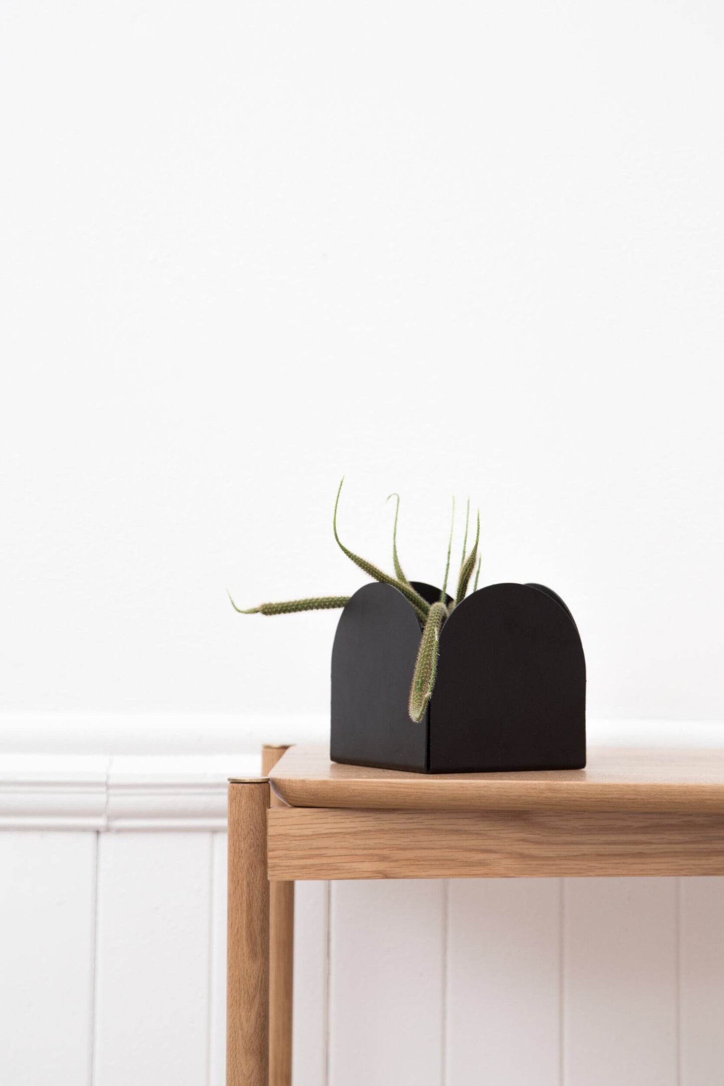 A black foldable arch pot made of aluminum, with a smooth finish and no visible branding. Holding a green cactus on a light brown table with a white background