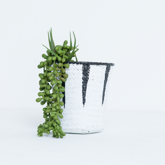 Small Ralphine Basket by NED Collections