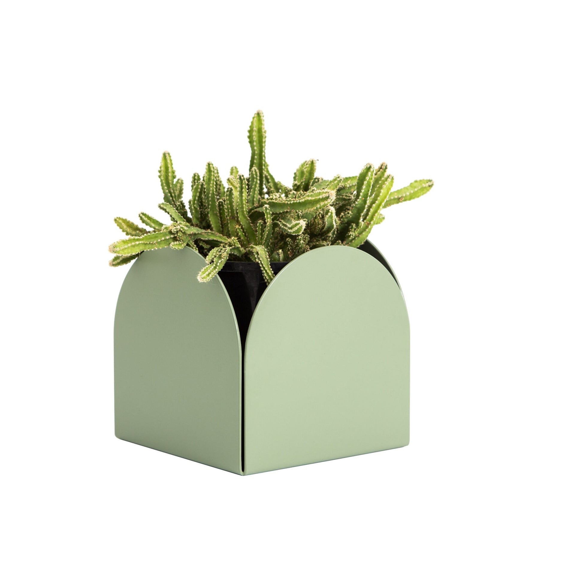 A mist green foldable arch pot made of aluminum, holding a cactus plant, with a smooth finish and no visible branding.