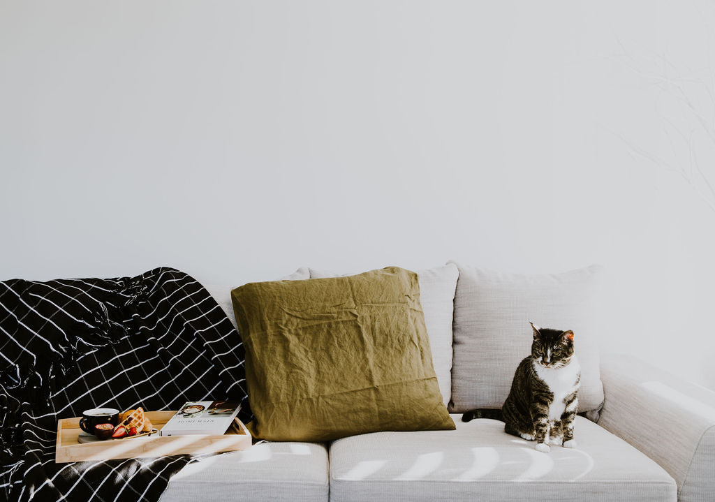 Cat sitting on a white couch with an olive french linen pillow, a black checkered throw blanket and a wooden breakfast tray