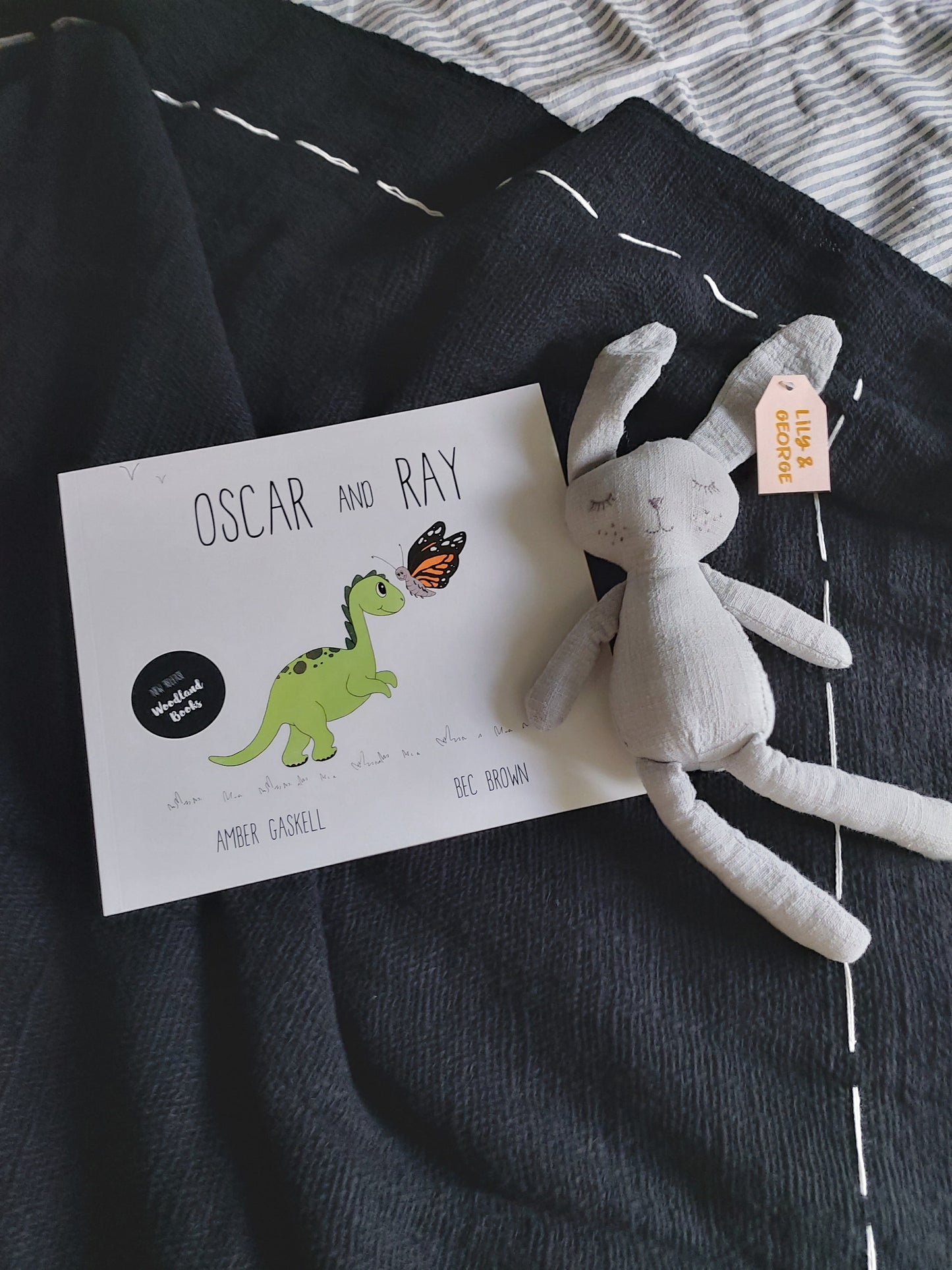 Oscar & Ray by Amber Gaskell - Illustrated by Bec Brown