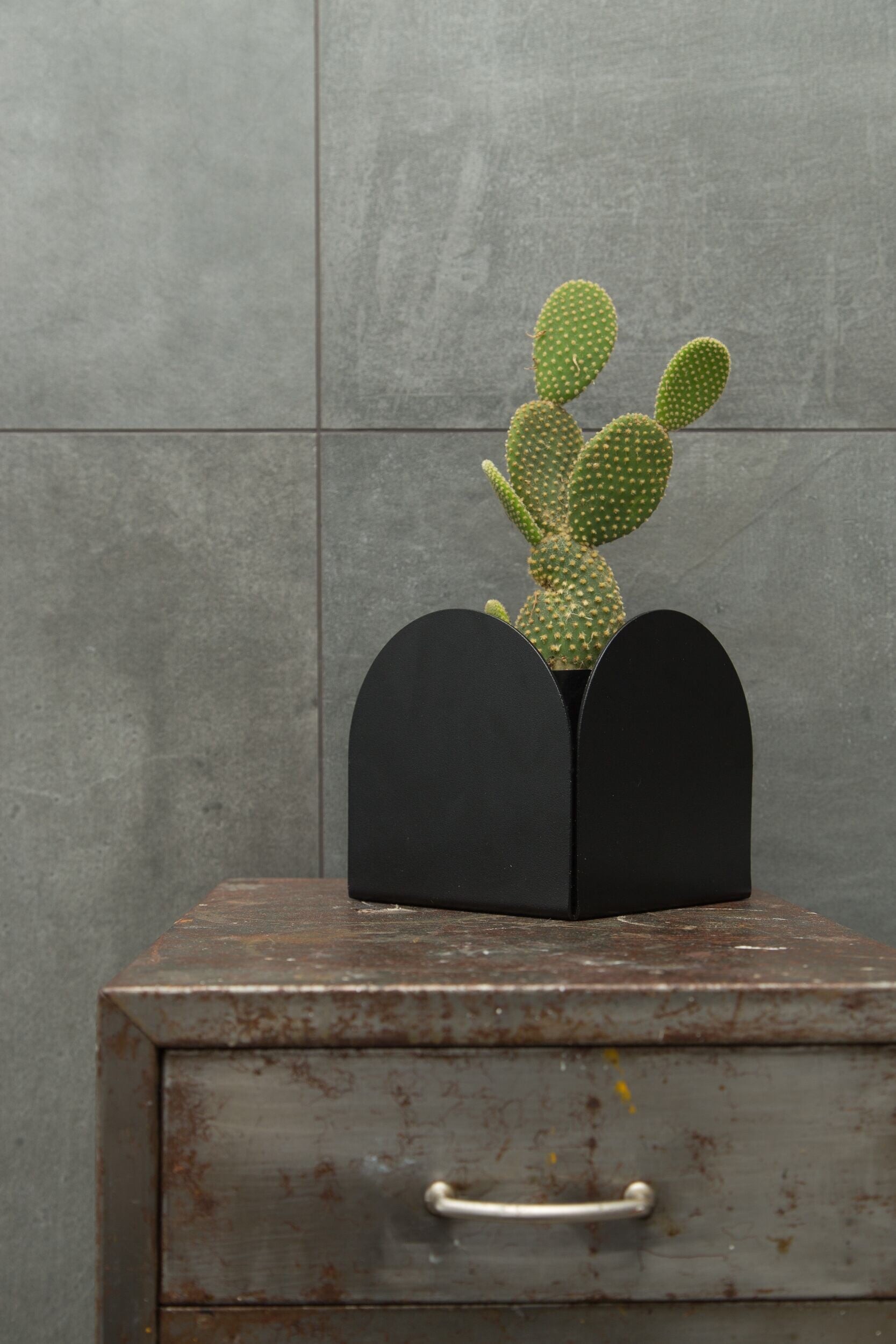 A black foldable arch pot made of aluminum, with a smooth finish and no visible branding. Holding a prickly pear cactus and sitting on an old industrial set of drawers, with a grey tile background