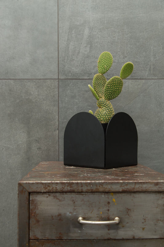 A black foldable arch pot made of aluminum, with a smooth finish and no visible branding. Holding a prickly pear cactus and sitting on an old industrial set of drawers, with a grey tile background