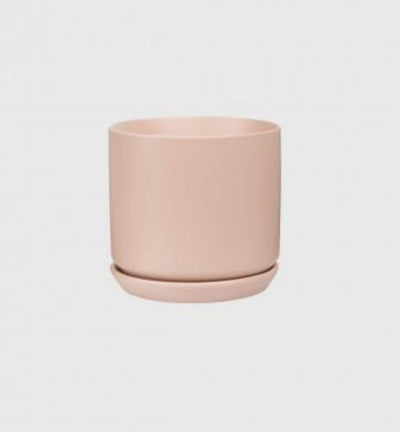 Peach coloured pot plant with saucer on a white background