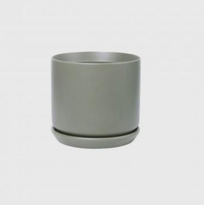 Sage coloured pot plant with saucer on a white background